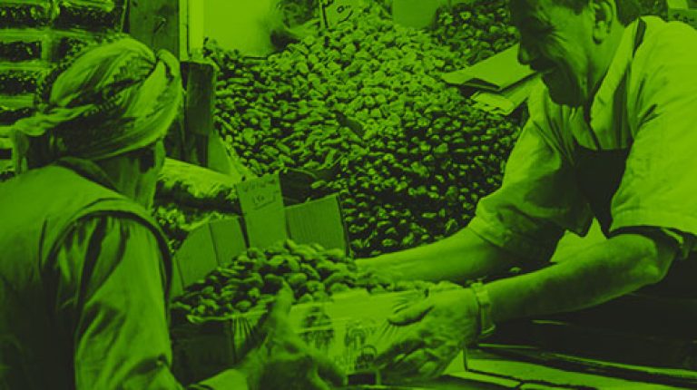 MicrosoftTeams-image-13